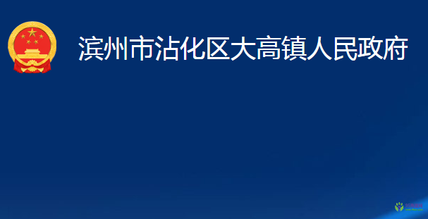 濱州市沾化區(qū)大高鎮(zhèn)人民政府