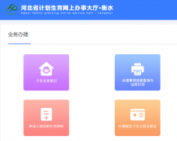 衡水市計(jì)劃生育網(wǎng)上辦事大廳入口
