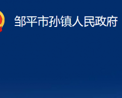 鄒平市孫鎮(zhèn)人民政府