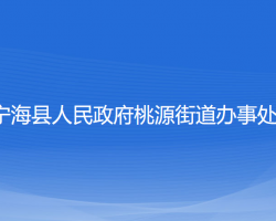 寧?？h桃源街道辦事處