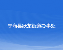 寧?？h躍龍街道辦事處