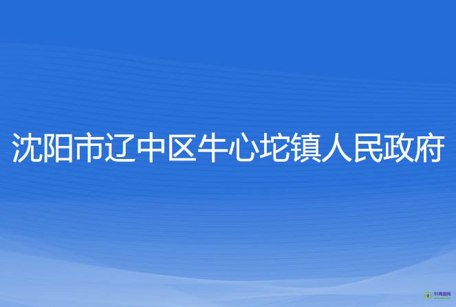 沈陽市遼中區(qū)牛心坨鎮(zhèn)人民政府