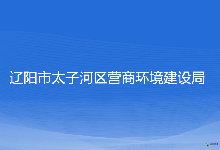 遼陽市太子河區(qū)營商環(huán)境建設局