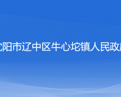 沈陽(yáng)市遼中區(qū)牛心坨鎮(zhèn)人民政府