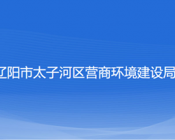 遼陽(yáng)市太子河區(qū)營(yíng)商環(huán)境建設(shè)局