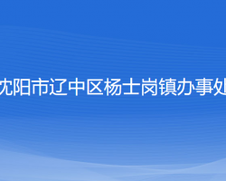 沈陽市遼中區(qū)楊士崗鎮(zhèn)辦事處