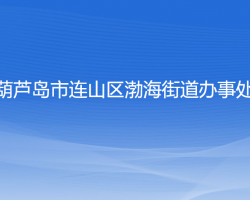 葫蘆島市連山區(qū)渤海街道辦事處