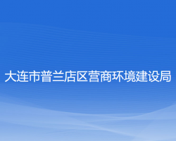 大連市普蘭店區(qū)營商環(huán)境建設(shè)局"