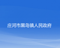 莊河市黑島鎮(zhèn)人民政府