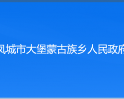 鳳城市大堡蒙古族鄉(xiāng)人民政府