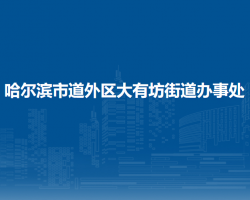 哈爾濱市道外區(qū)大有坊街道辦事處