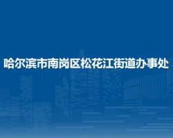 哈爾濱市南崗區(qū)松花江街道辦事處