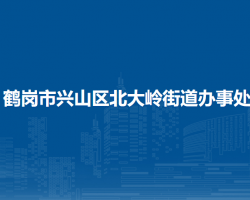 鶴崗市興山區(qū)北大嶺街道辦事處