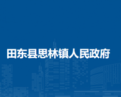 田東縣思林鎮(zhèn)人民政府