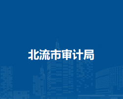 北流市審計(jì)局